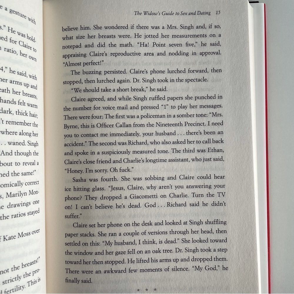 BOOK, The Widow’s Guide to Sex & Dating, a novel, 302 pages, Fiction, NOS - Picture 14 of 16